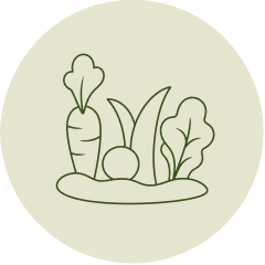 Cuisine de saison